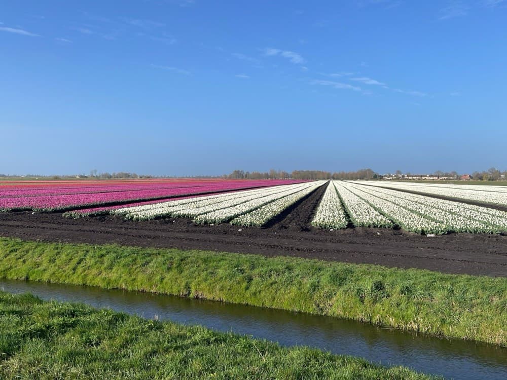Prachtige omgeving