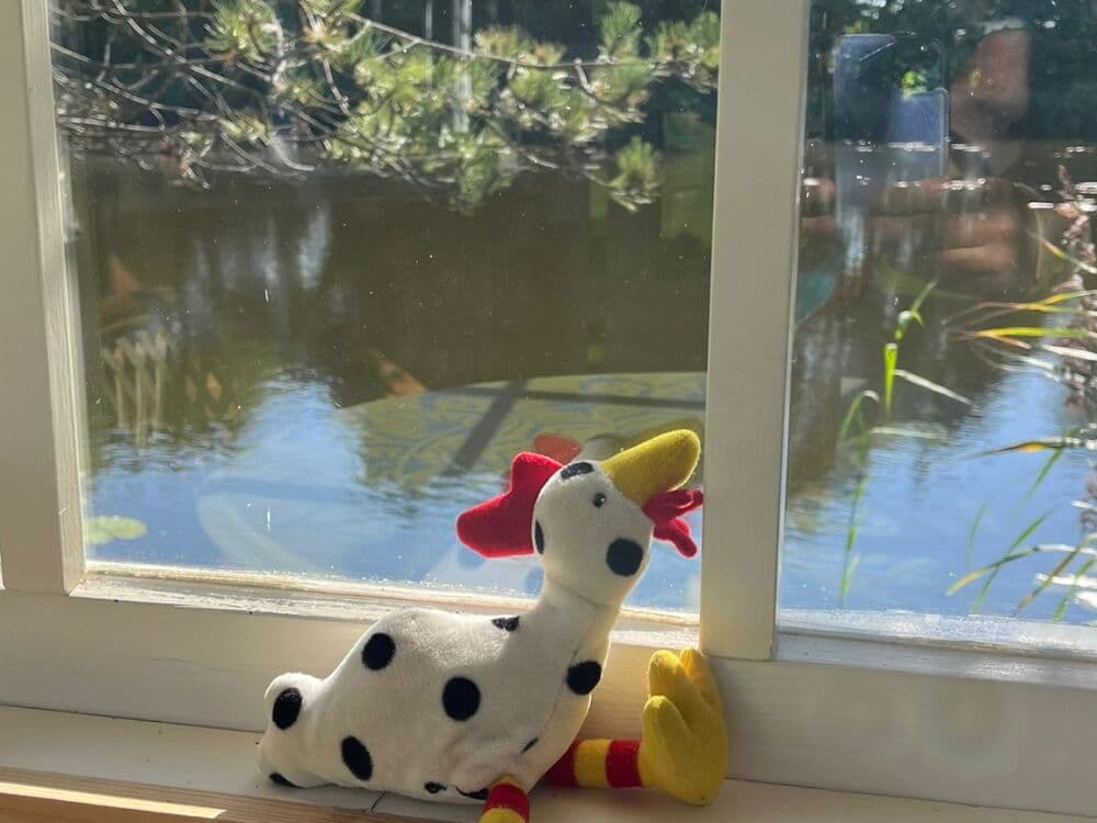 Wat een lief kadootje